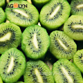 Granja al por mayor de alto nivel OEM Kiwi Fruit